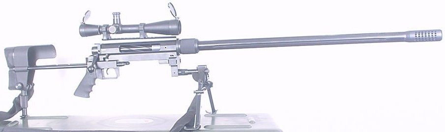 EDM Arms Tactical Take-down Rifle